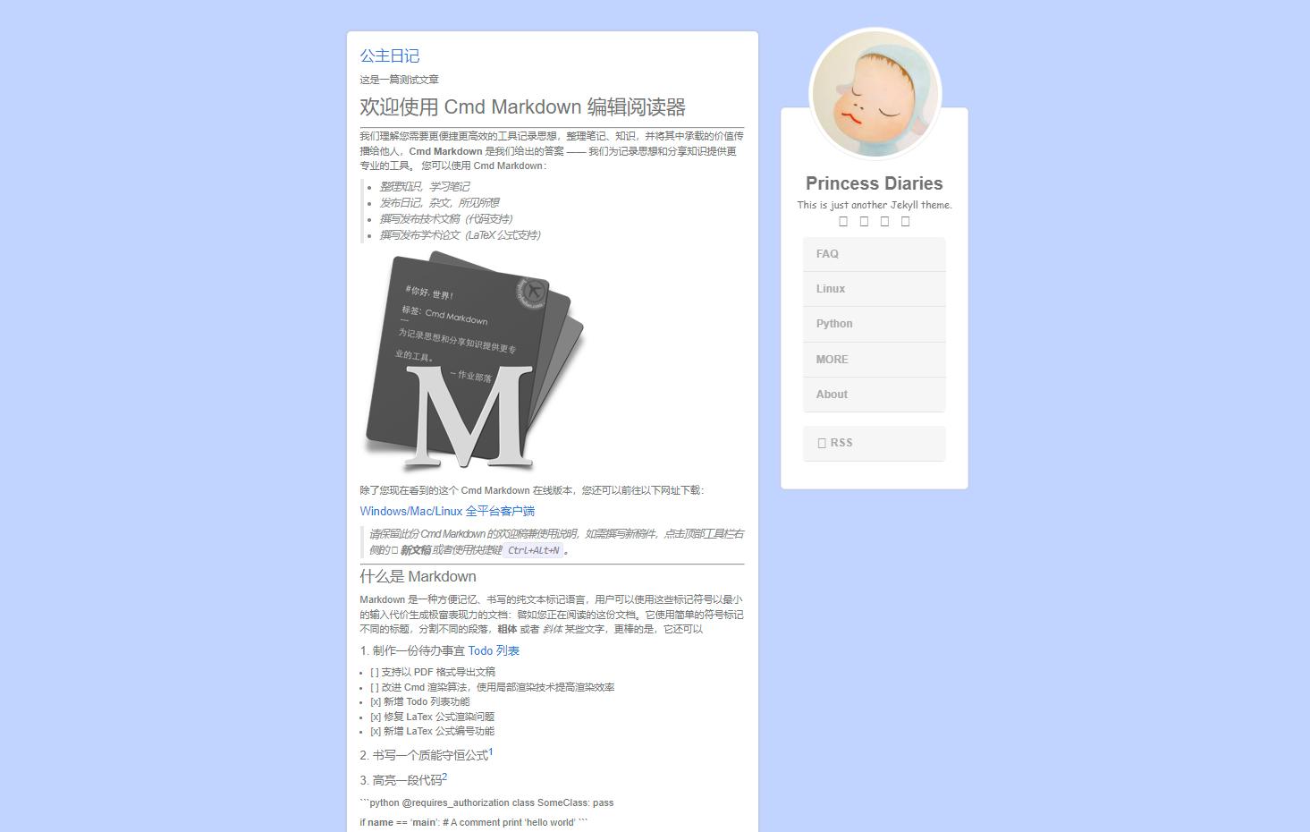 Princess Diaries Screenshot