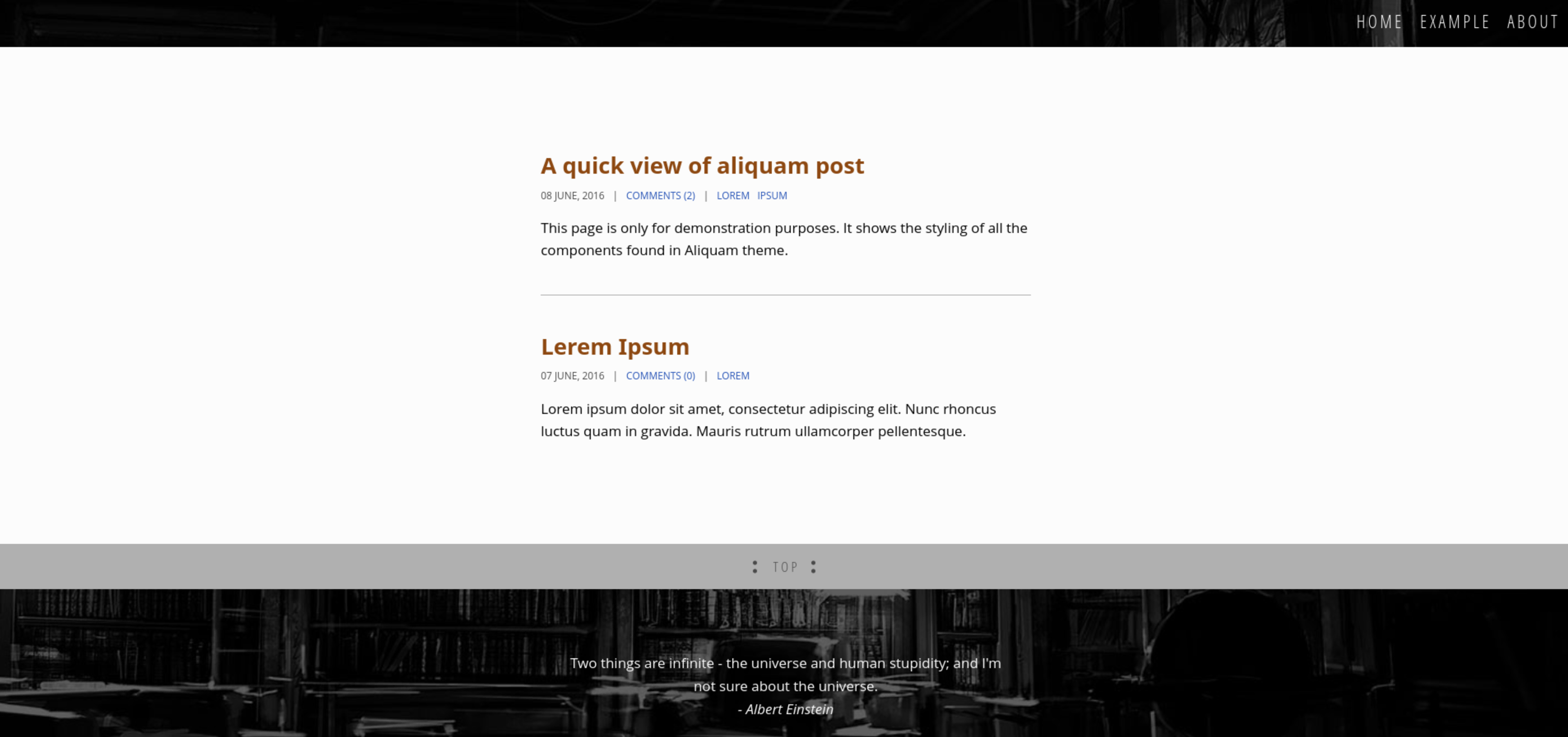 Aliquam Screenshot